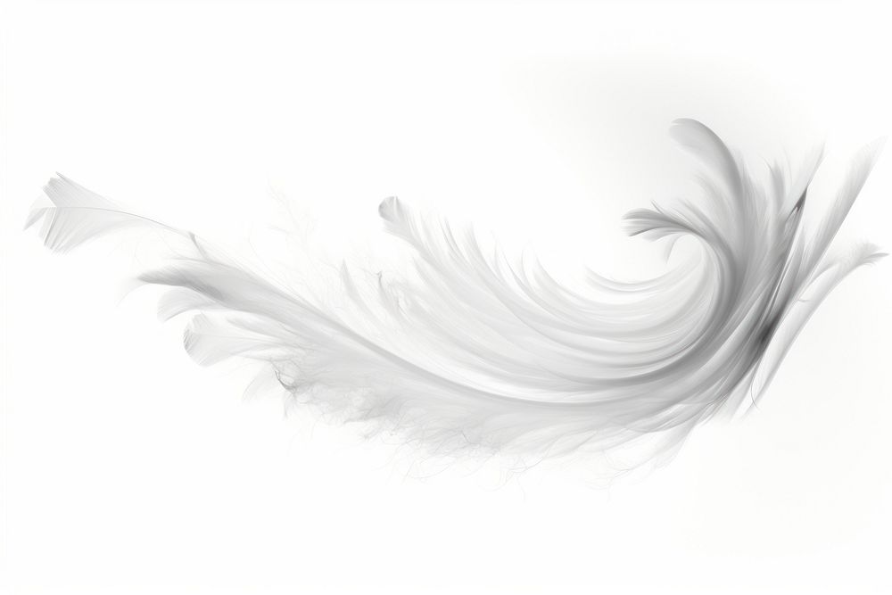 Feather white backgrounds swirl. AI generated Image by rawpixel.