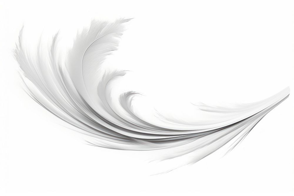 Feather white swirl white background.