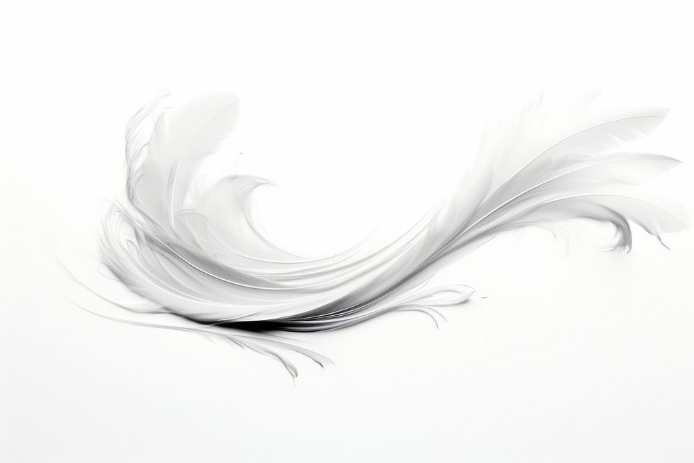 Feather backgrounds swirl white. AI generated Image by rawpixel.
