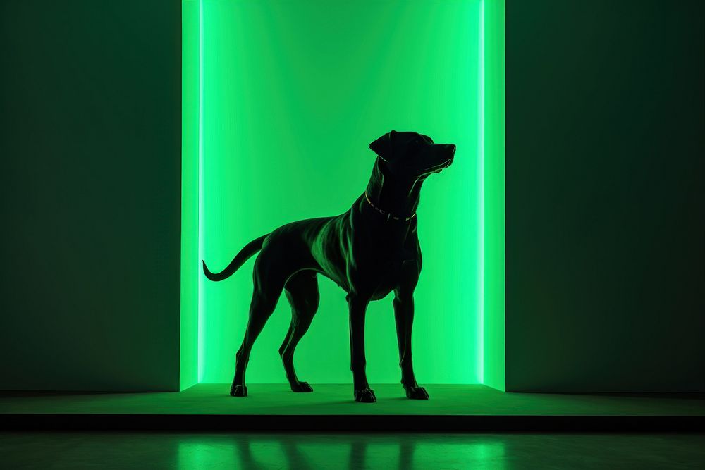 Dog light neon silhouette.