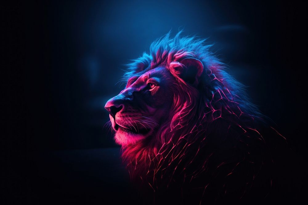 Lion mammal animal light.