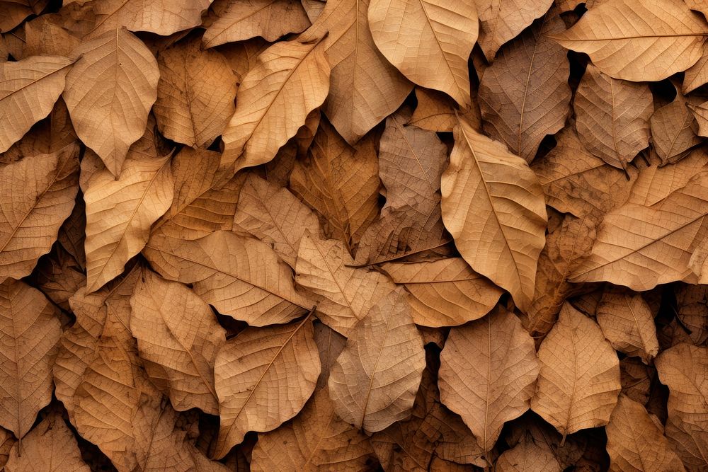 Backgrounds texture leaves plant. AI generated Image by rawpixel.