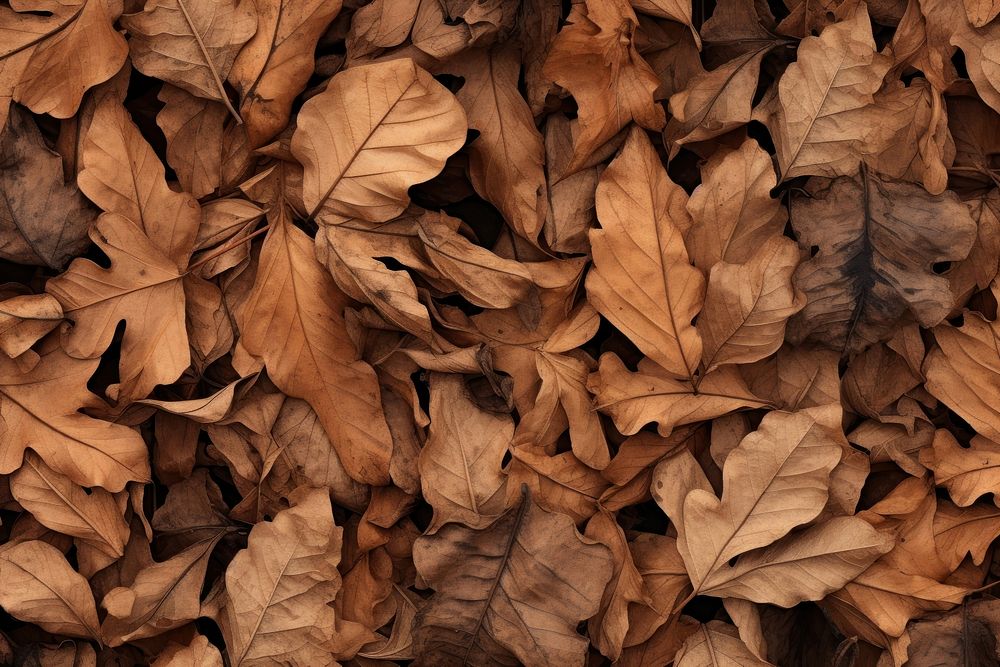 Backgrounds leaves plant leaf. AI generated Image by rawpixel.