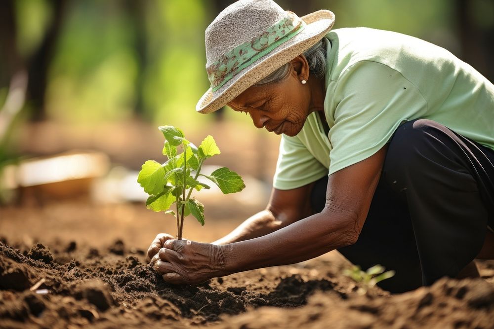 Woman planting seeding gardening outdoors nature.
