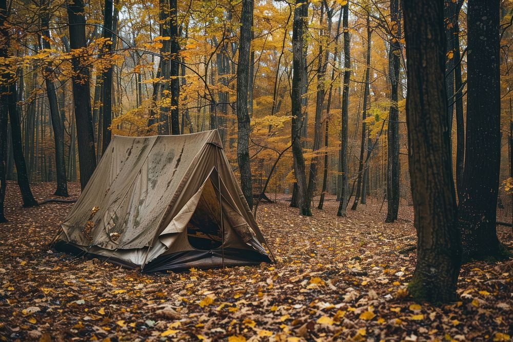 Old tent autumn outdoors camping.