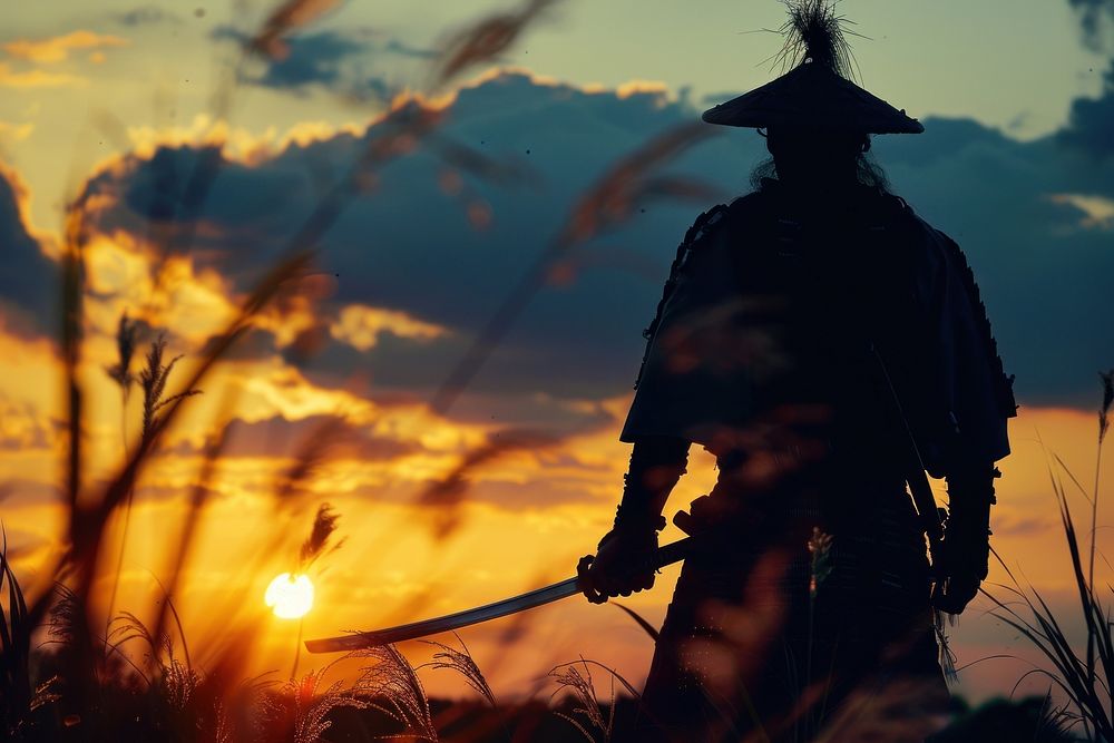 Samurai silhouette sunset backlighting.