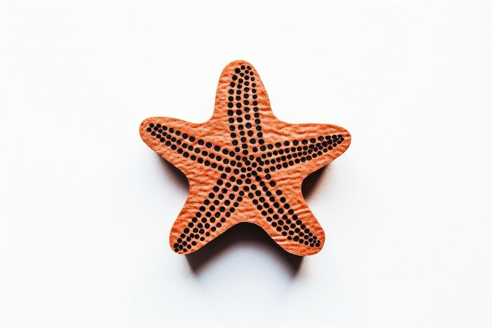 Starfish shape white background invertebrate.