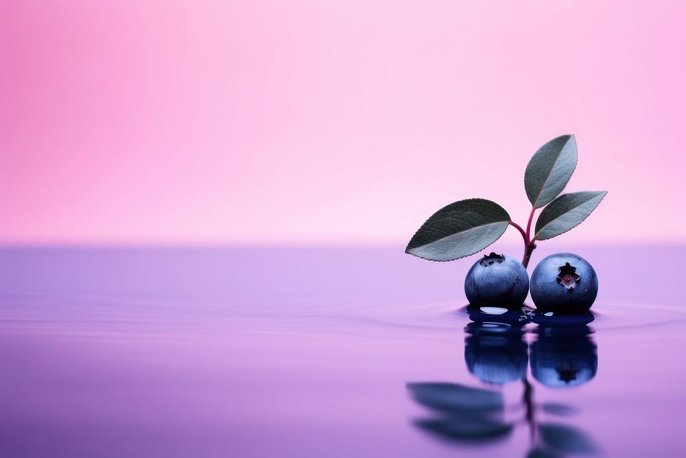 Fresh blueberry on water pattern plant pink leaf.