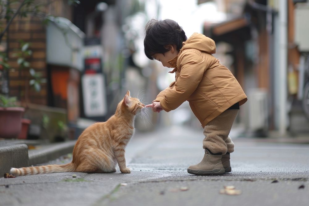 Japanese kid playing with a cat mammal animal street.