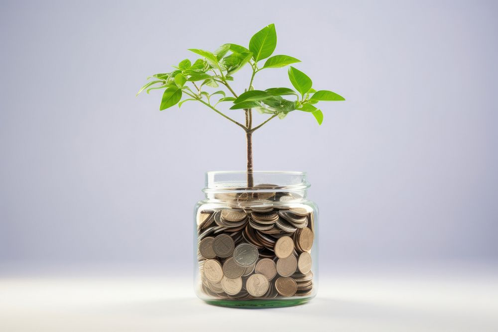Money tree watering can money savings banking.