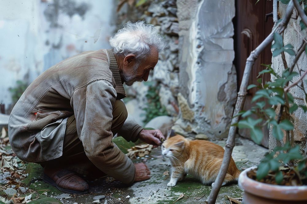 Man playing with a cat outdoors mammal animal.