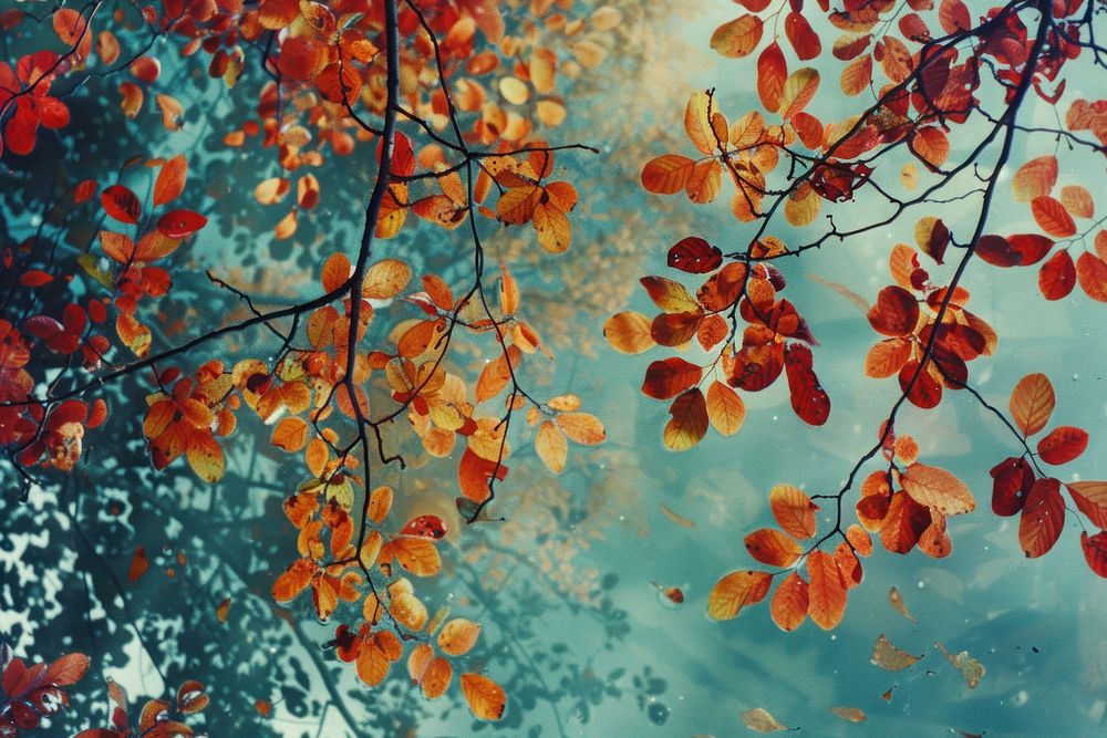 Nature background backgrounds outdoors autumn.