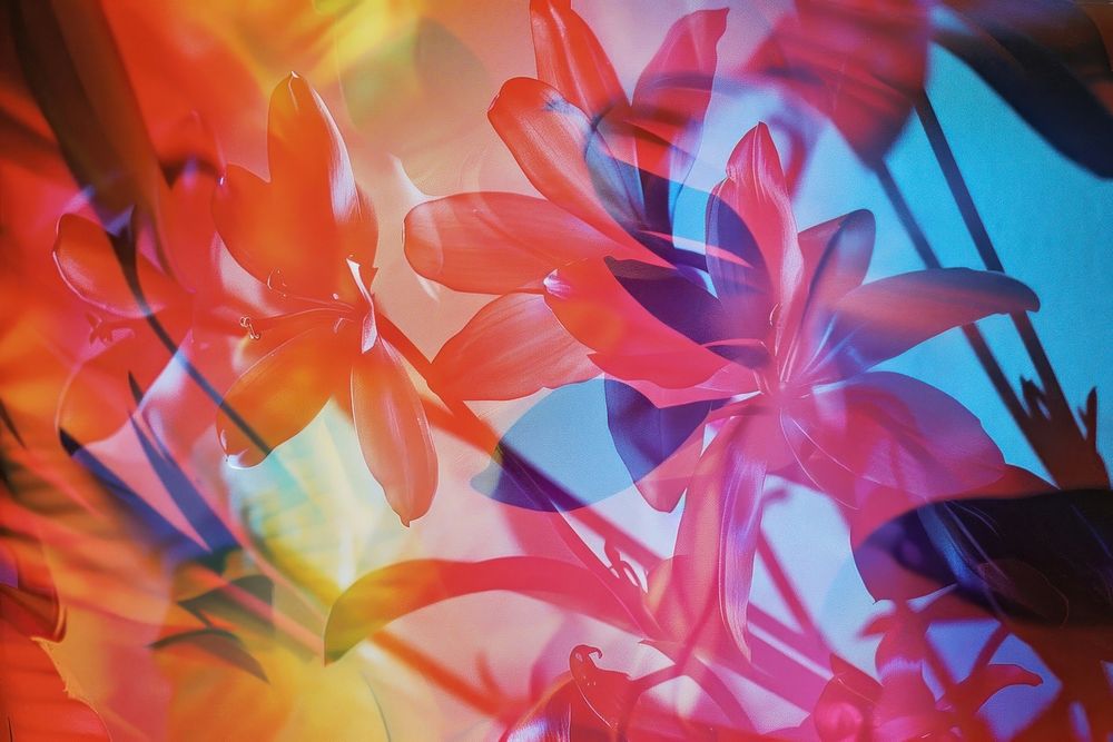 Neon background backgrounds pattern flower.