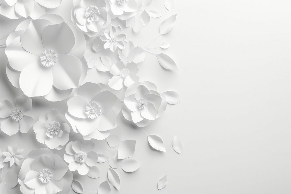 White paper flowers backgrounds monochrome decoration.