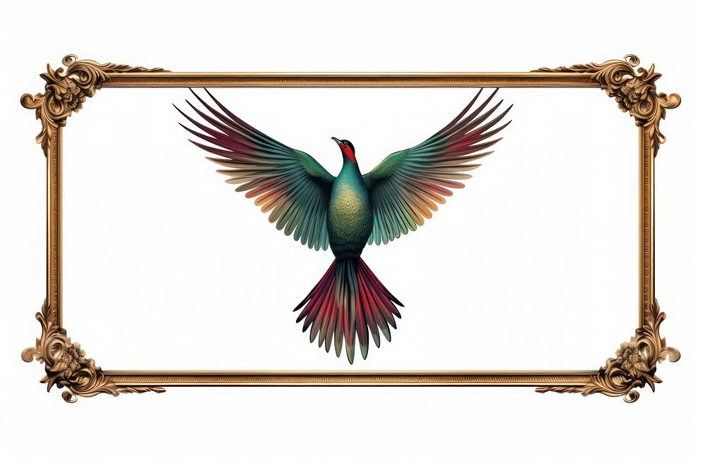 Bird bird animal frame.