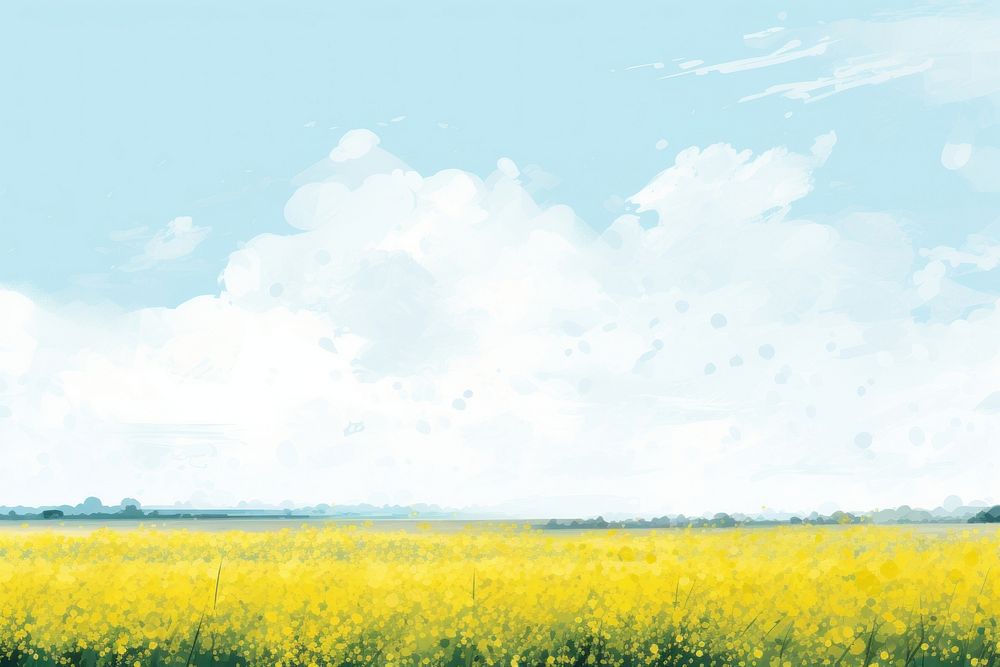 Spring Field field backgrounds landscape.