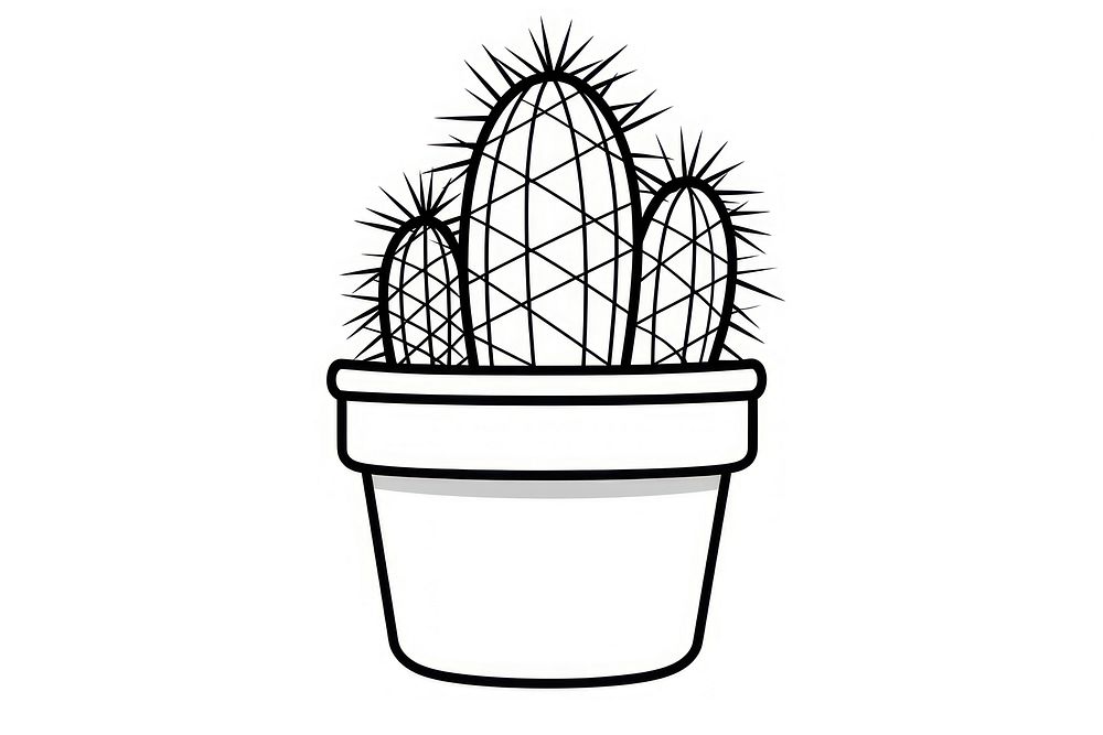A cactus sketch drawing plant.