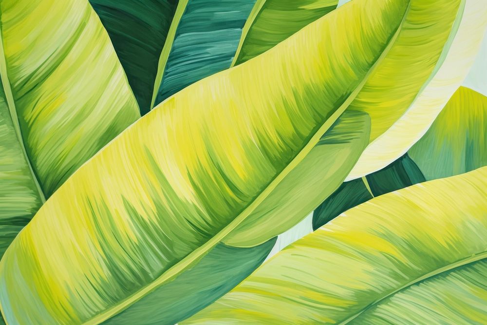 Banana leaf backgrounds abstract plant.