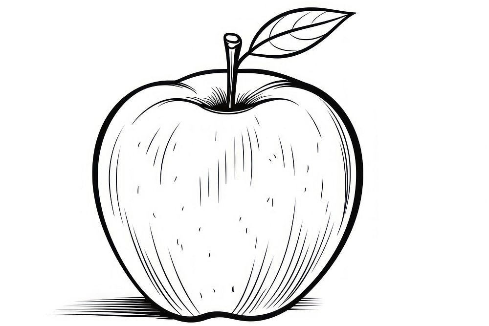 An apple sketch fruit plant.