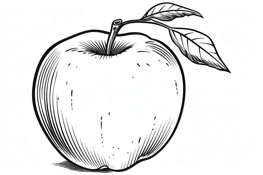 An apple sketch drawing fruit.