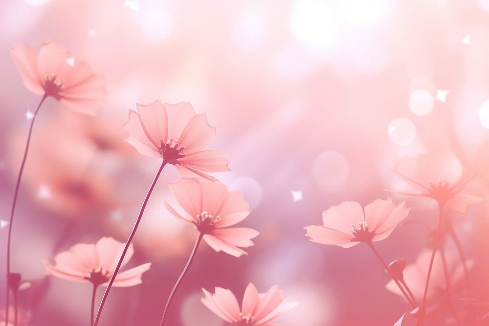 Digital abstract background flower backgrounds outdoors.