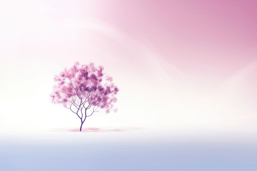 Abstract background tree outdoors blossom.