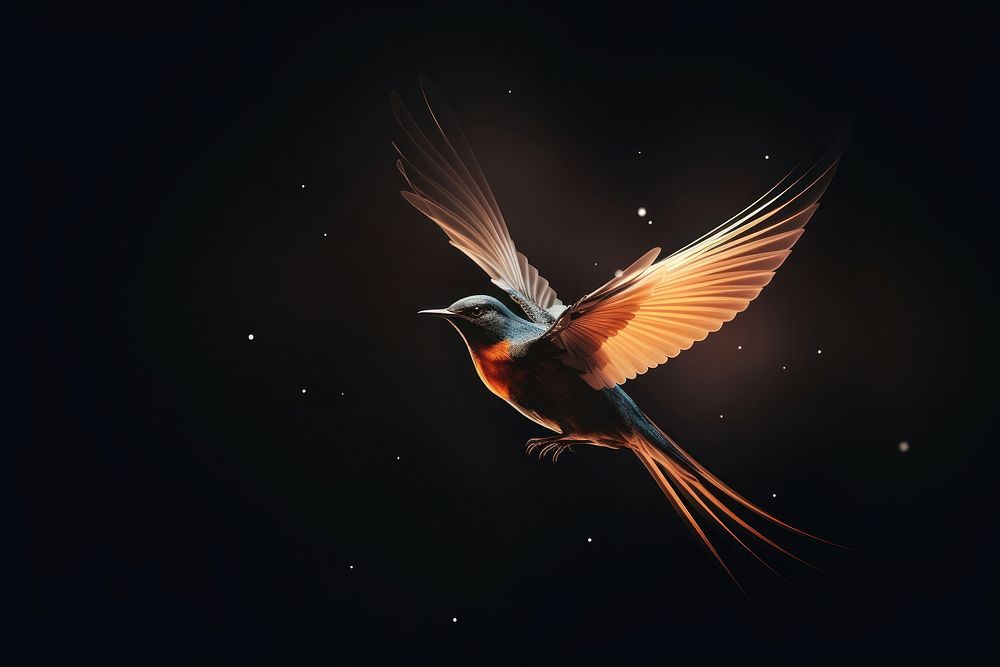 Abstract background bird animal flying.