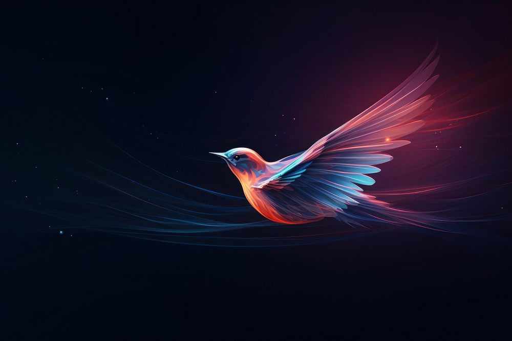 Abstract background bird outdoors animal.