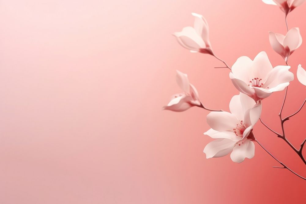 Abstract background flower blossom petal.