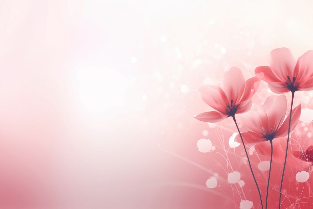 Abstract background flower backgrounds outdoors.