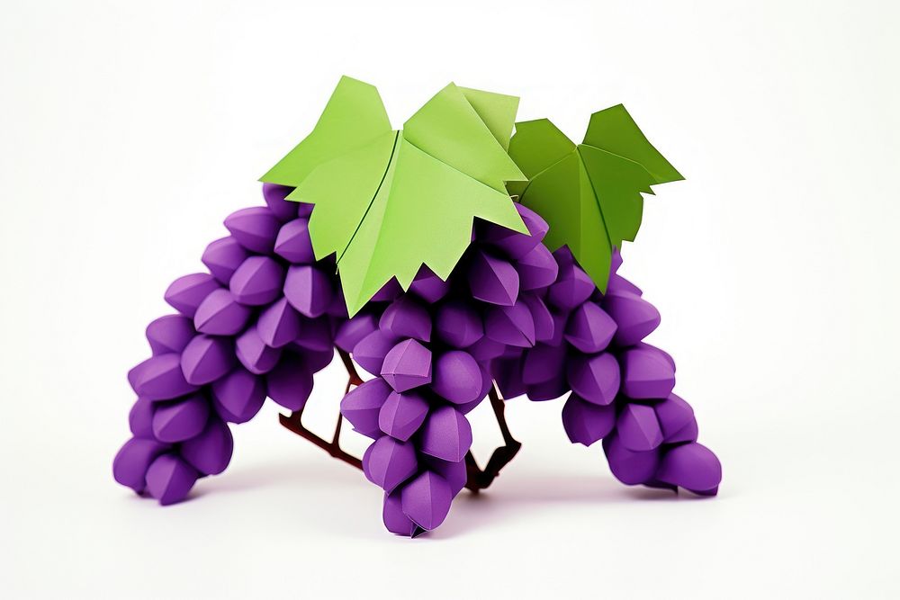 Paper grape grapes purple plant.