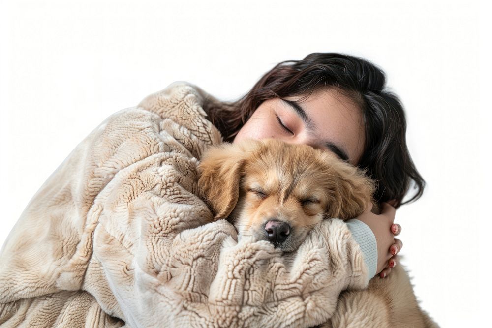 Dog sleeping blanket mammal.