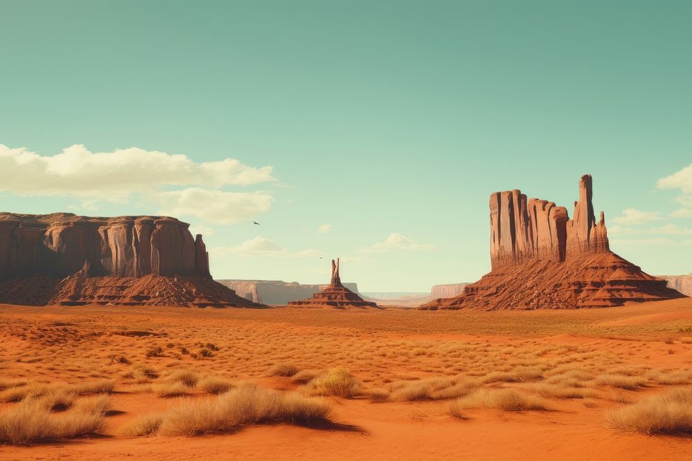 Desert tranquility landscape semi-arid.