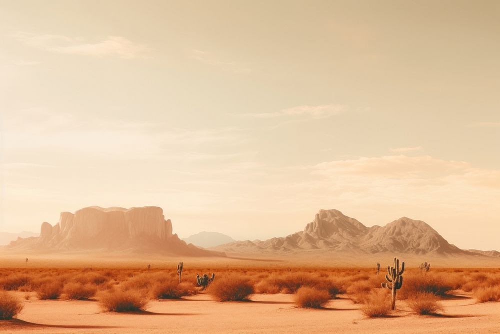 Desert ground tranquility landscape.