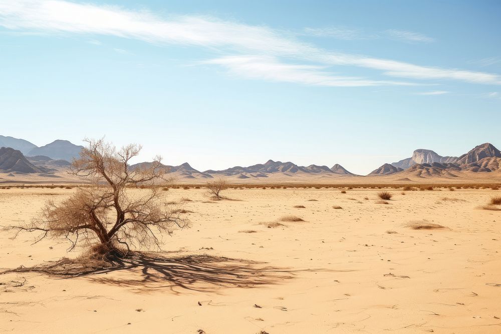 Landscape semi-arid outdoors desert.