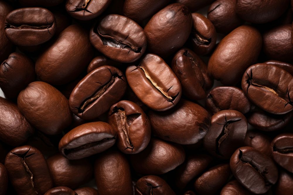 Coffee bean coffee beans backgrounds freshness.