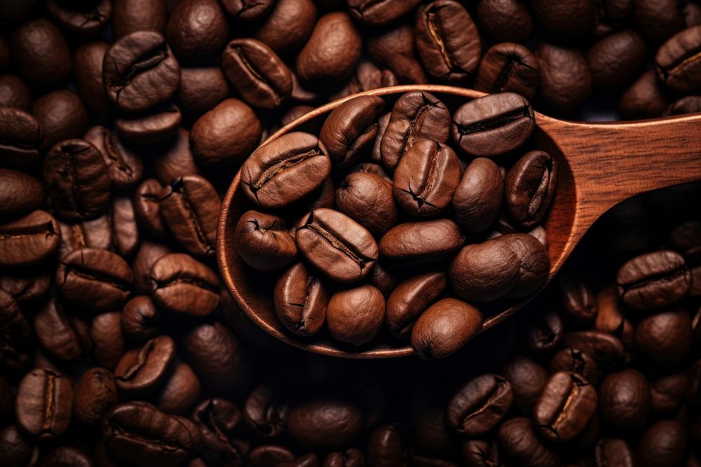 Coffee bean coffee beans refreshment backgrounds.
