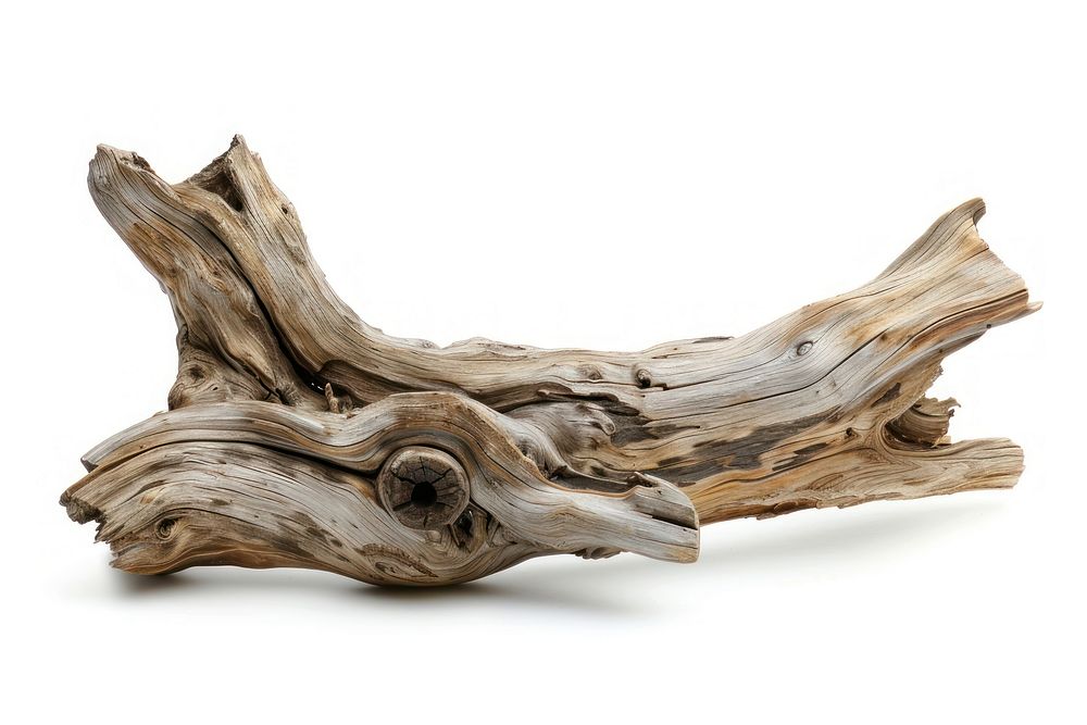 Driftwood white background sculpture timber.