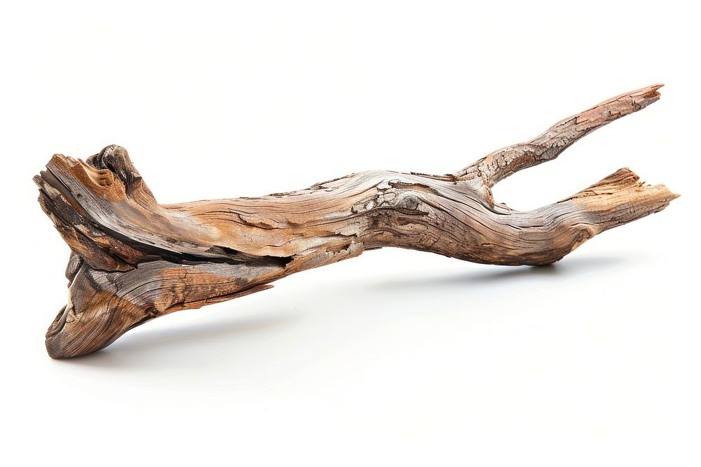 Driftwood white background branch nature.