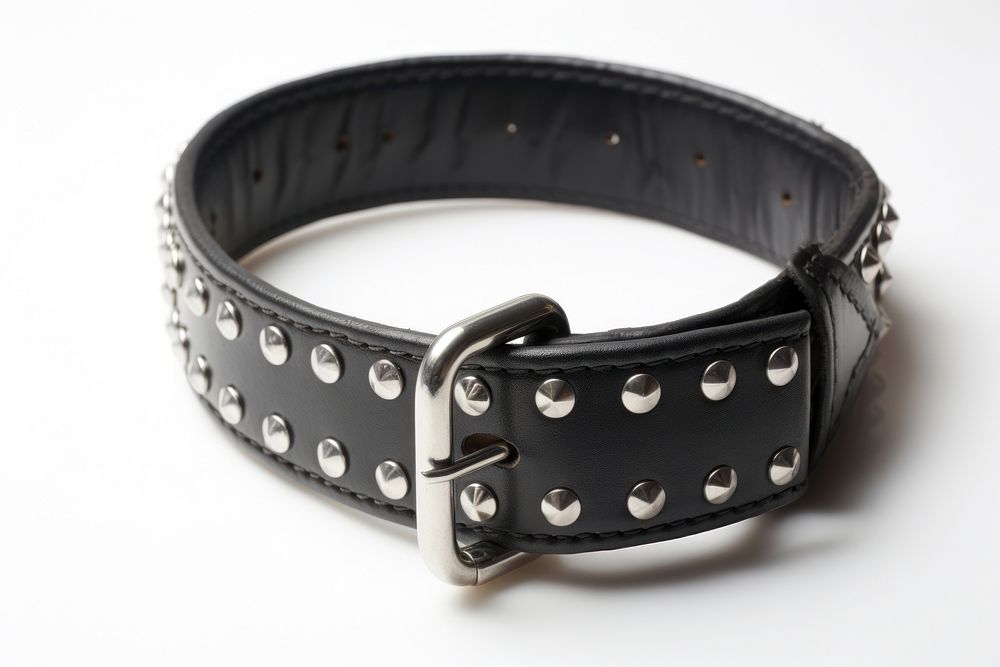 Collar belt accessories accessory.