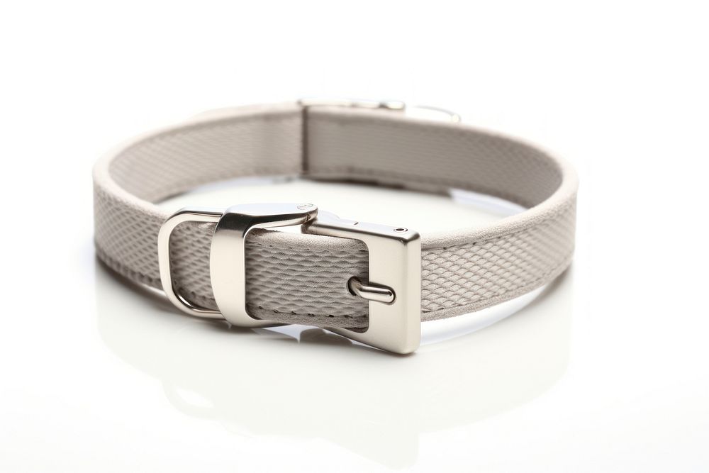 Cat collar buckle belt white background.