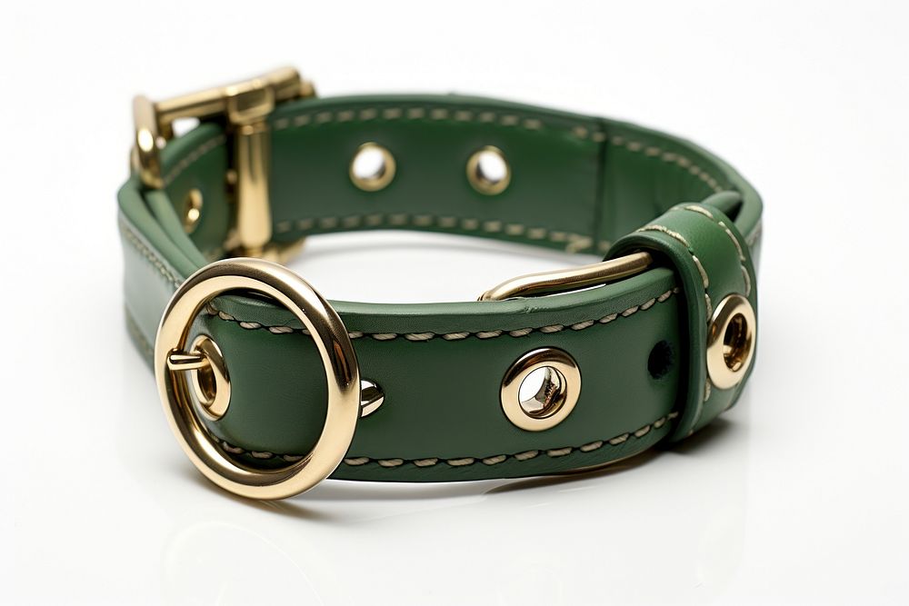 Cat collar accessories accessory bracelet.