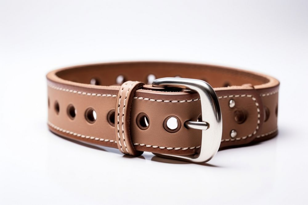 Dog collar buckle belt accessories.