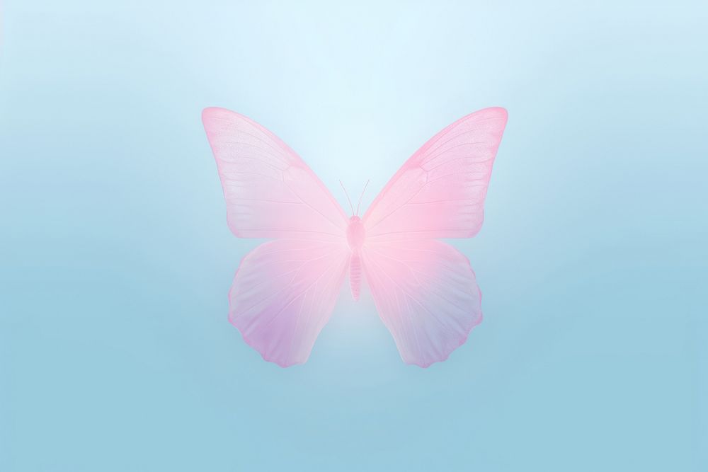 Abstract blurred gradient illustration butterfly nature petal pink.