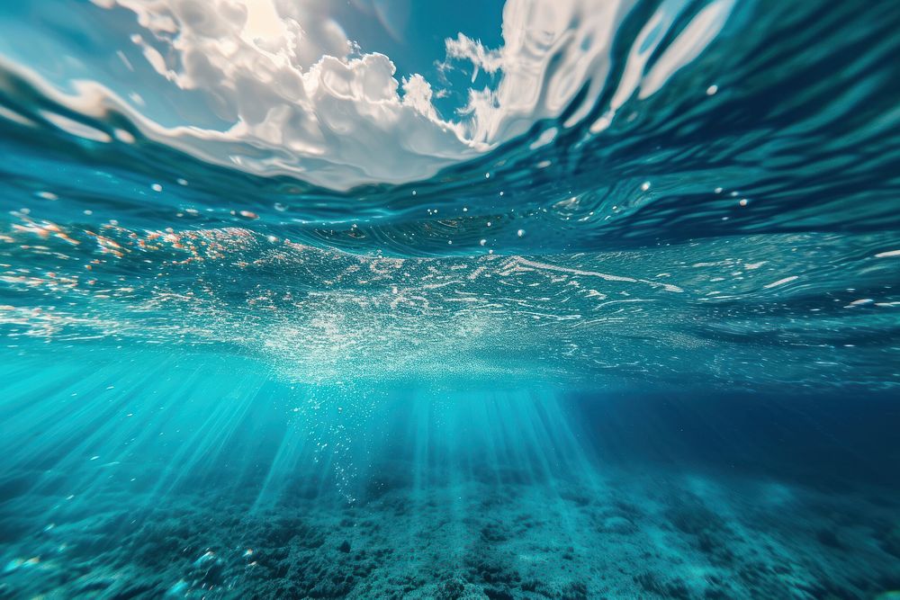 Underwater beauty sea outdoors nature.