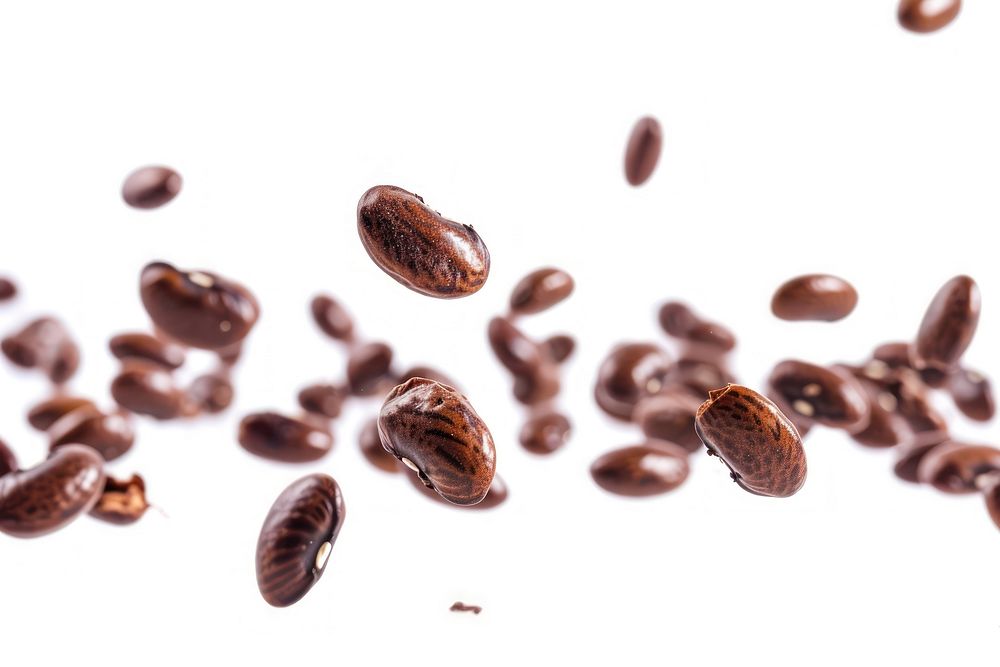 Beans backgrounds coffee white background.