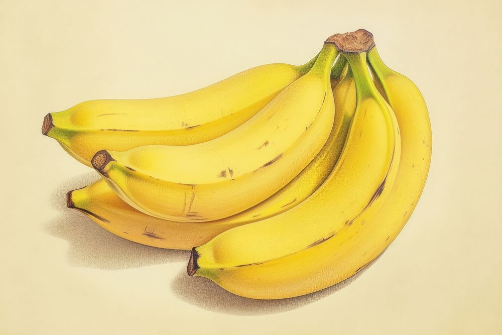 Vintage drawing of banana pattern fruit plant food.