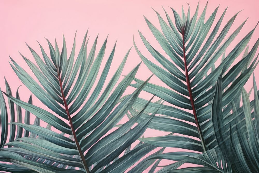 Vintage drawing of palm leaves backgrounds outdoors nature.