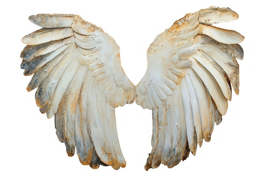 Angel wings white background pattern vulture.