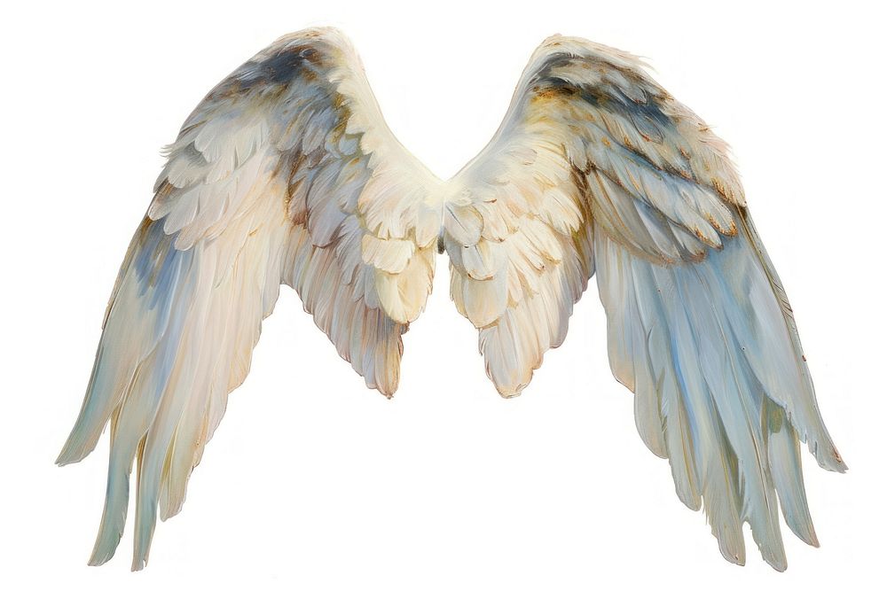 Angel wings flying white bird.